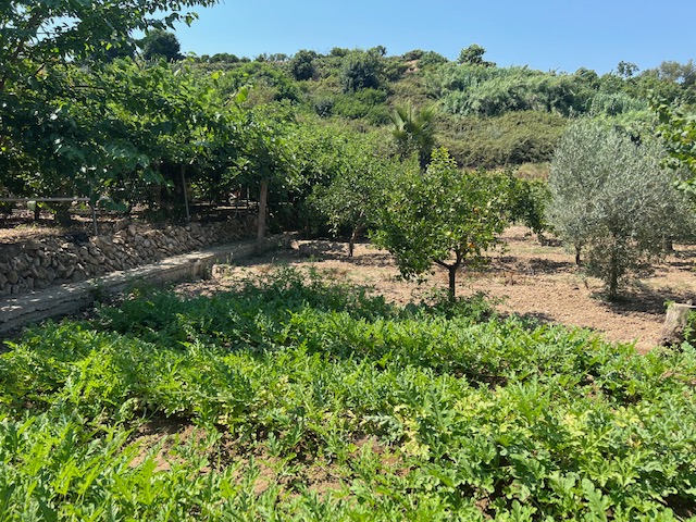 For sale of rural property in La Nucia