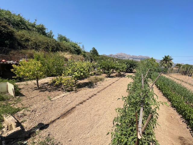 For sale of rural property in La Nucia