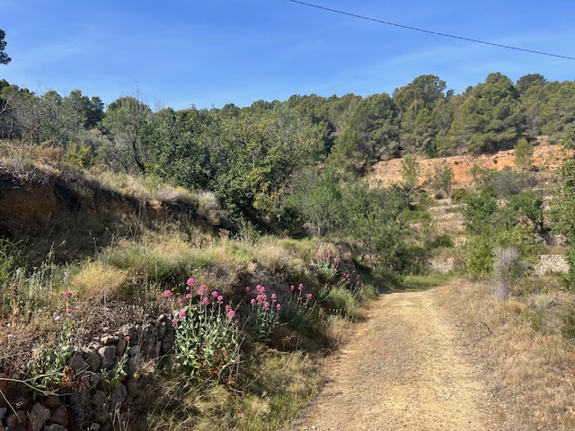 For sale of rural property in La Nucia