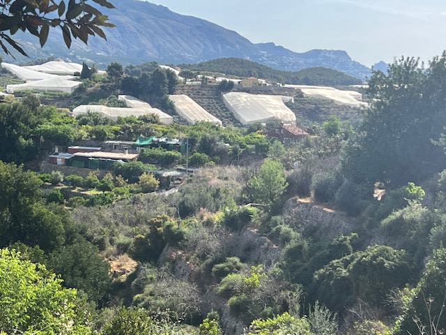 Venta de finca rústica en La Nucia