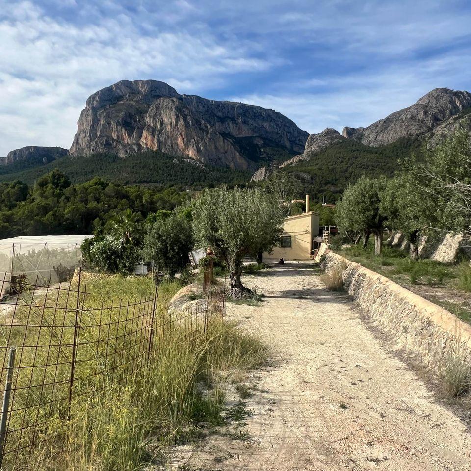 For sale of rural property in Polop