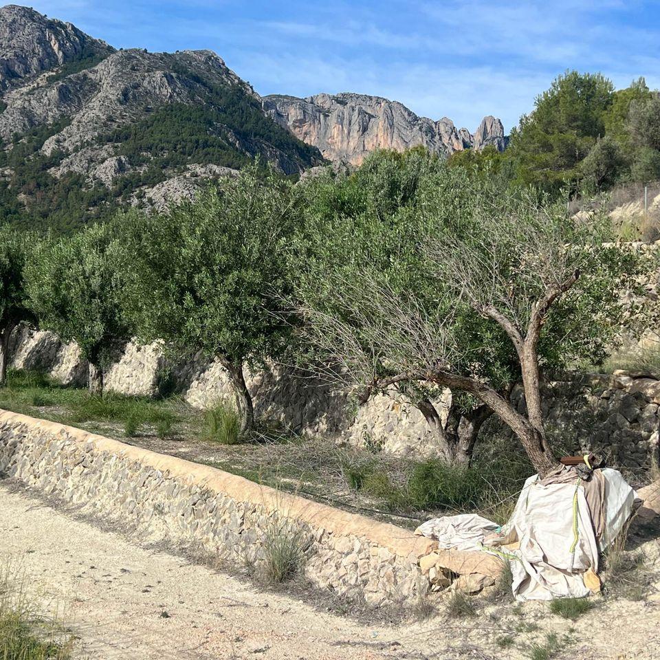 For sale of rural property in Polop