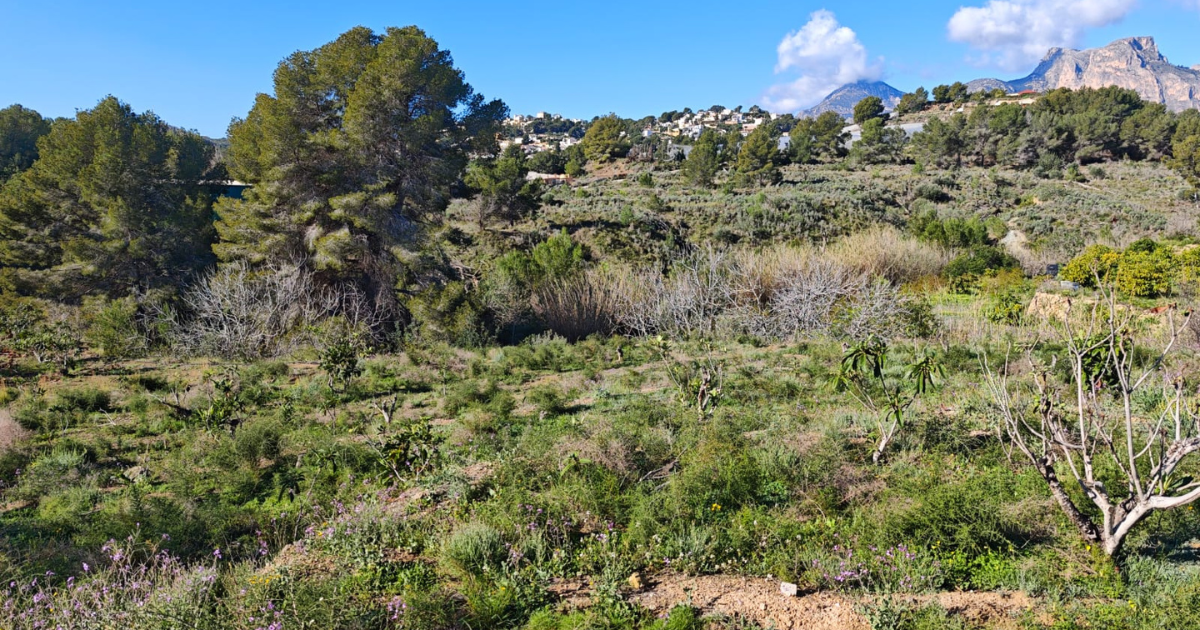 Venta de terreno en La Nucia