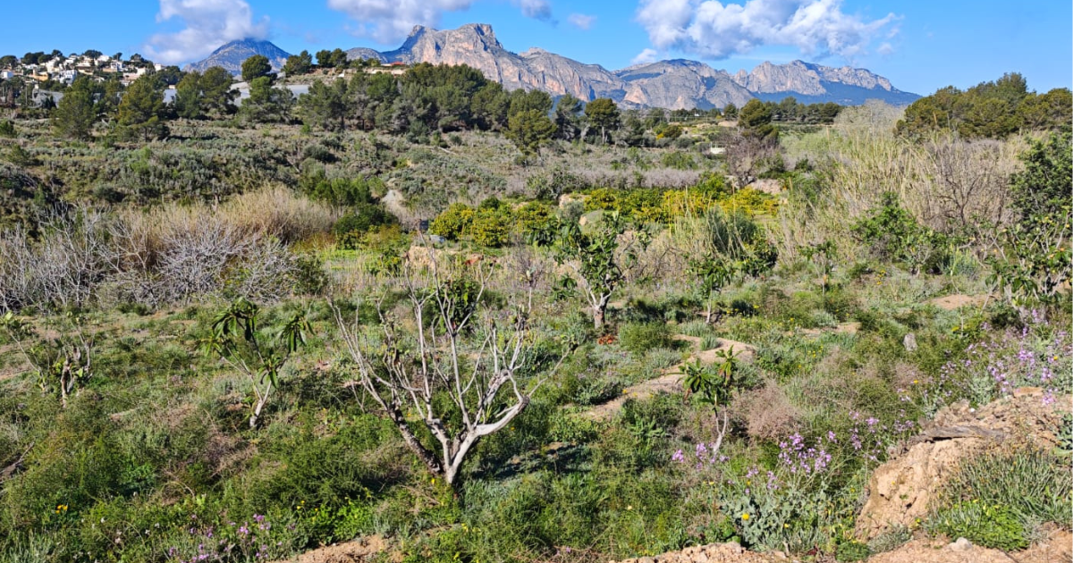 Venta de terreno en La Nucia