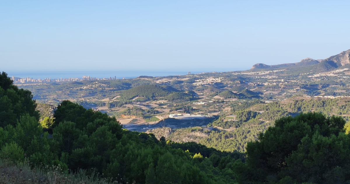 Venta de finca rústica en Bolulla