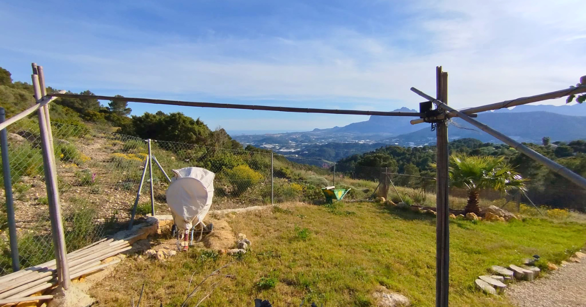 Venta de finca rústica en Bolulla