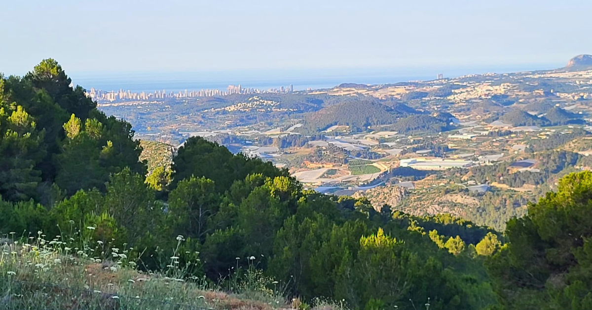 Venta de finca rústica en Bolulla