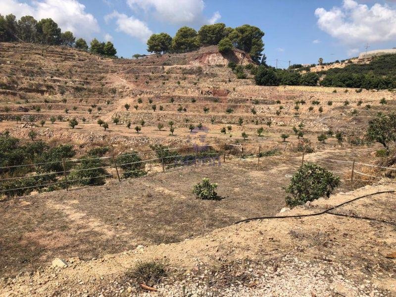 For sale of rural property in Callosa d En Sarrià