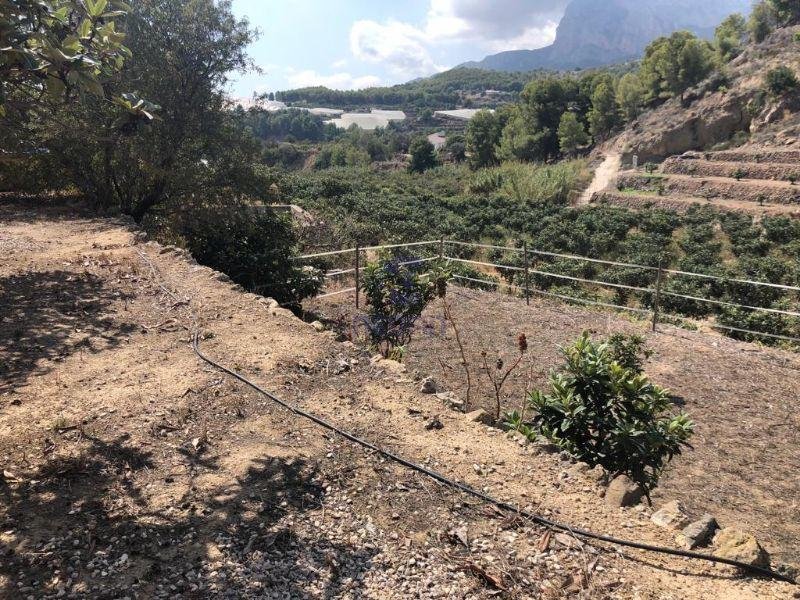 For sale of rural property in Callosa d En Sarrià