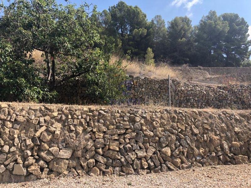 For sale of rural property in Callosa d En Sarrià