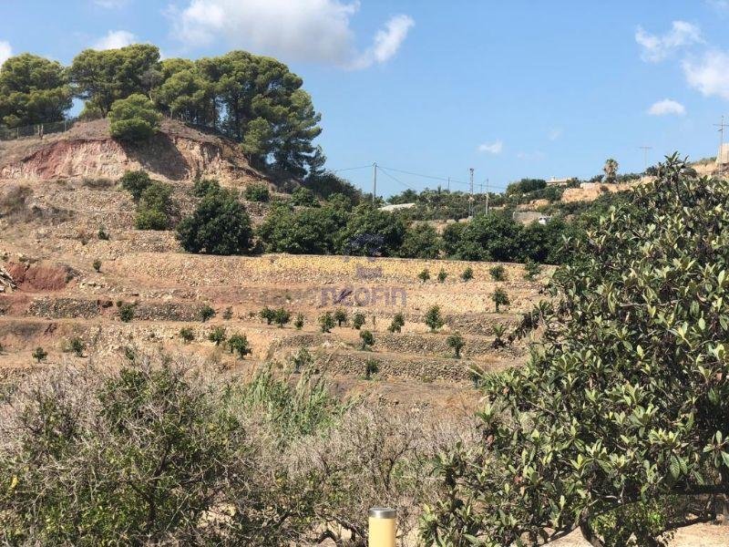For sale of rural property in Callosa d En Sarrià