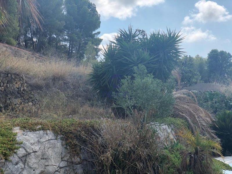 For sale of rural property in Callosa d En Sarrià