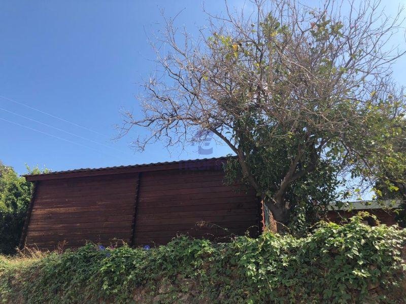 For sale of rural property in Callosa d En Sarrià