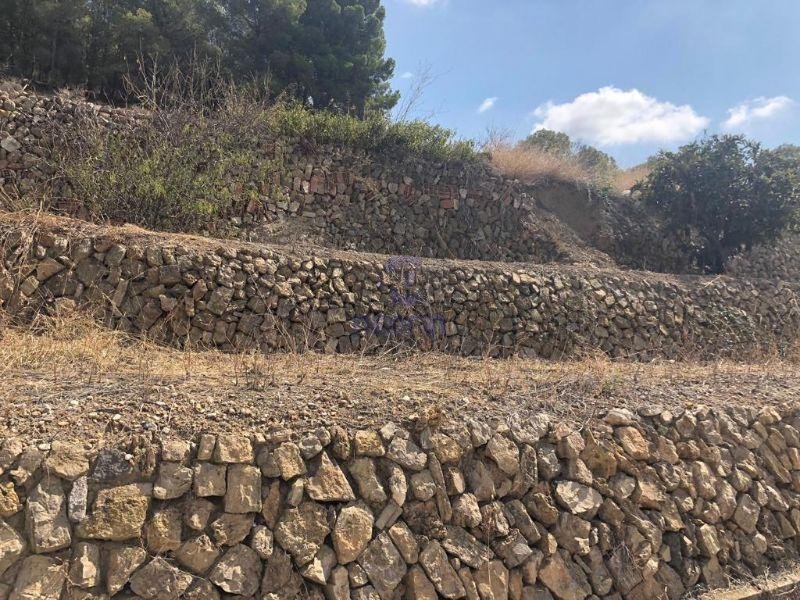 For sale of rural property in Callosa d En Sarrià