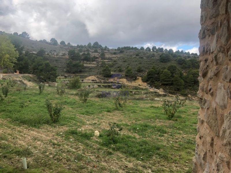 For sale of rural property in Confrides