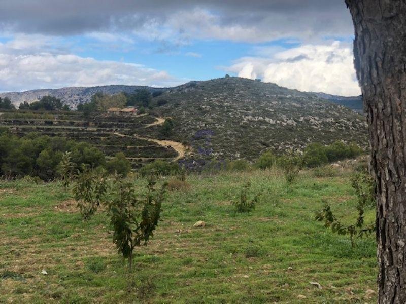 For sale of rural property in Confrides
