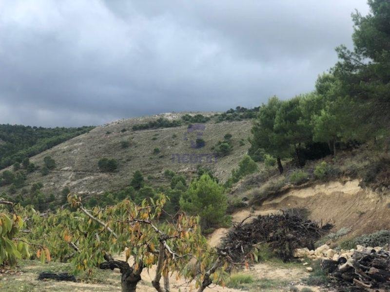 For sale of rural property in Confrides