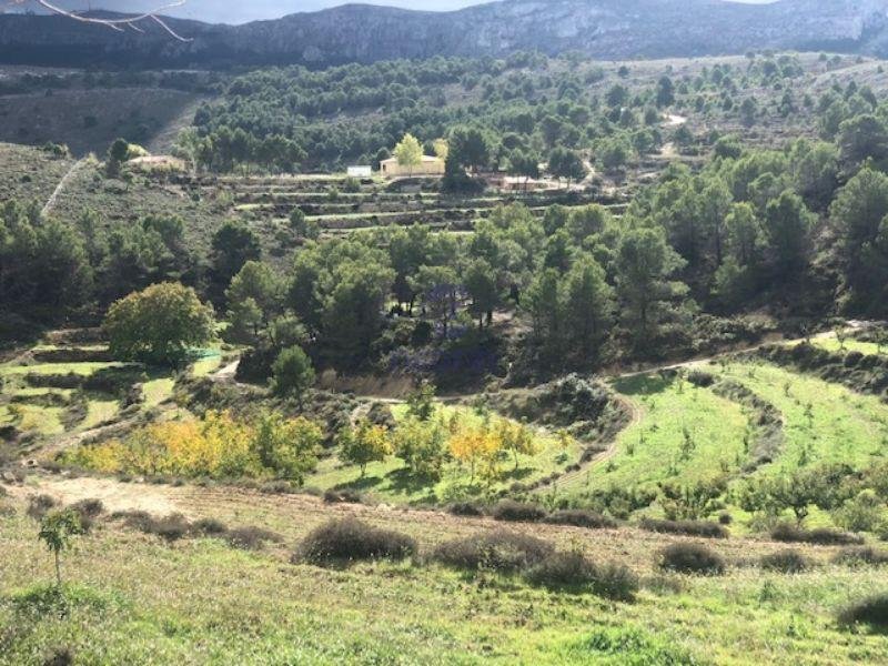 For sale of rural property in Confrides