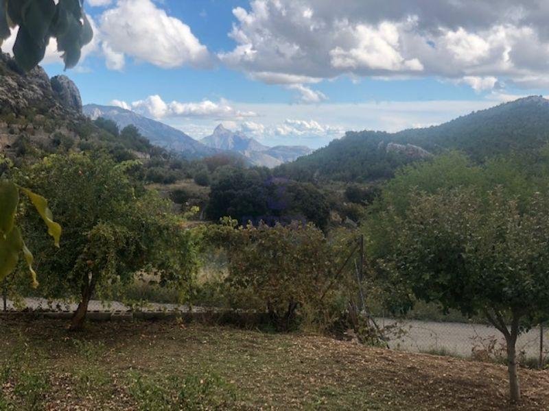 For sale of rural property in Confrides