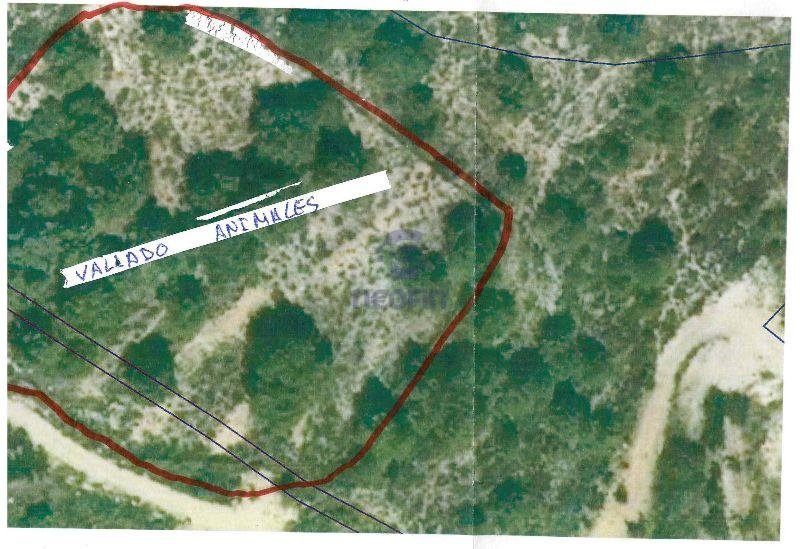 For sale of rural property in Confrides