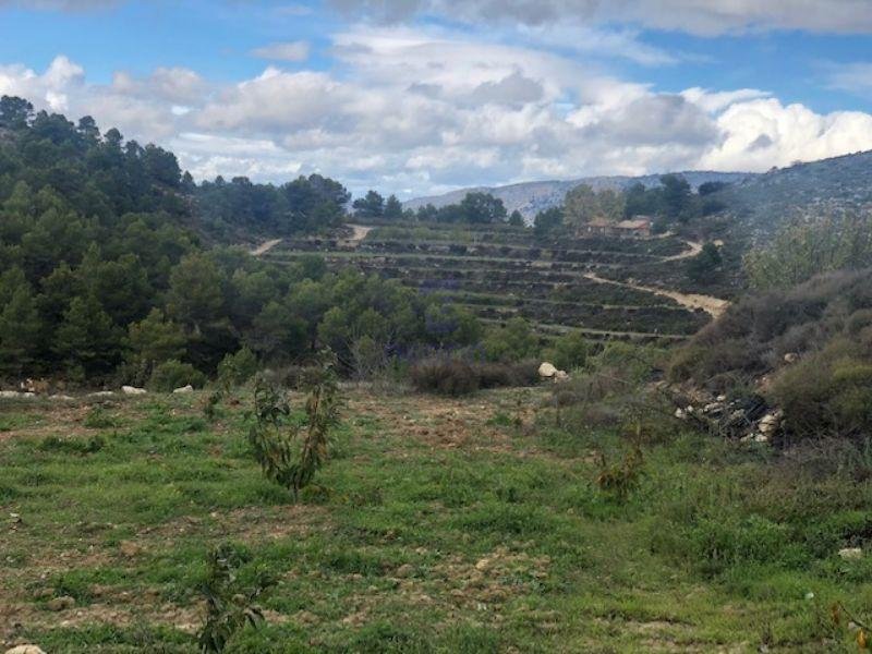 For sale of rural property in Confrides
