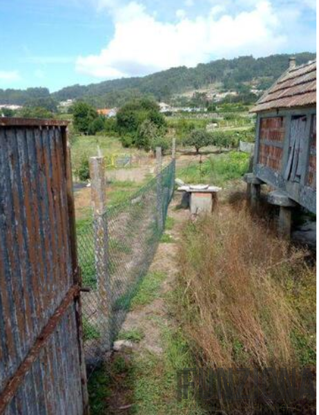 Terreno Terreno