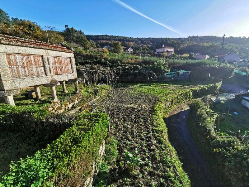 Terreno Terreno