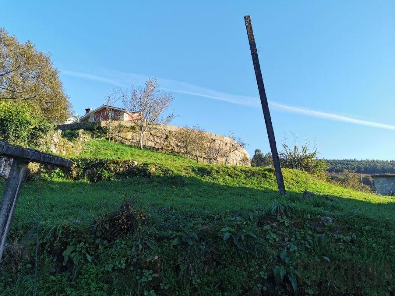 Terreno Terreno