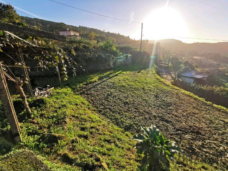 Terreno Terreno