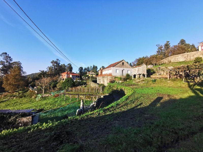 Terreno Terreno