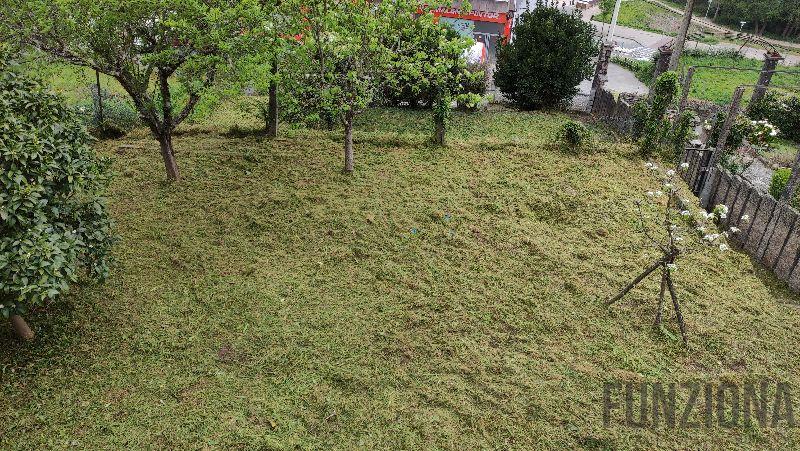 Terreno Terreno