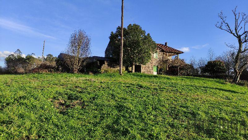 Terreno Terreno