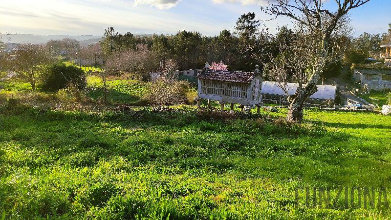 Terreno Terreno
