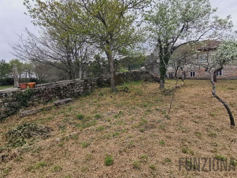 Terreno Terreno
