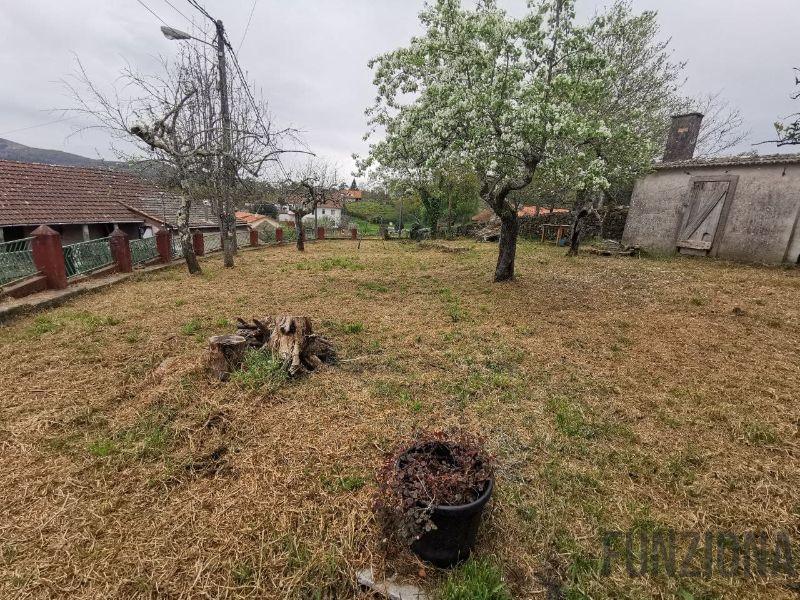 Terreno Terreno