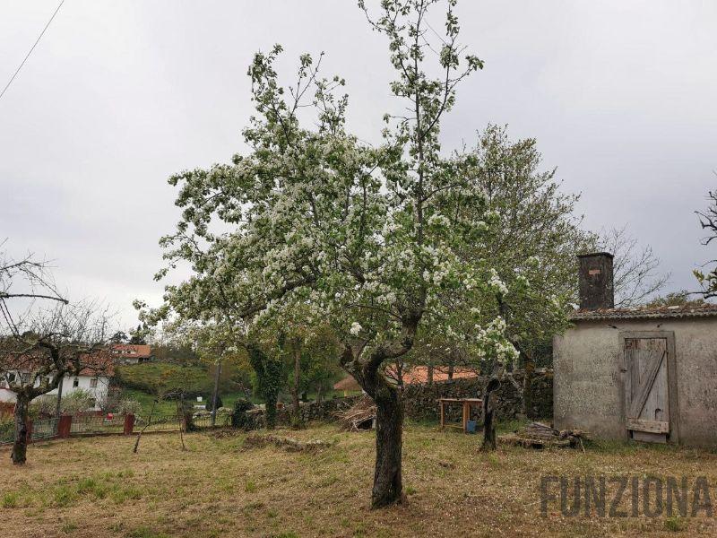 Terreno Terreno