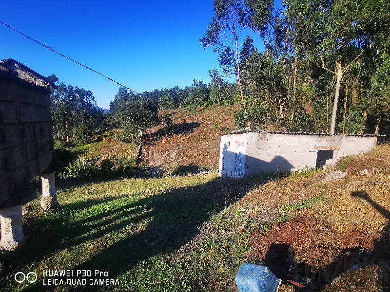 Venta de casa en Pontevedra Venta de casa en Pontevedra