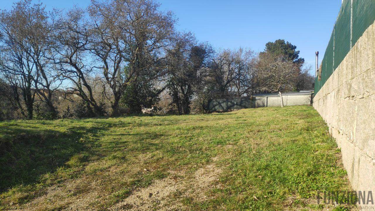 Ground