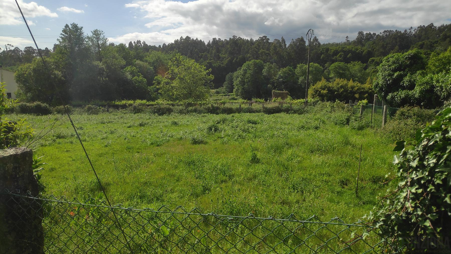 Ground