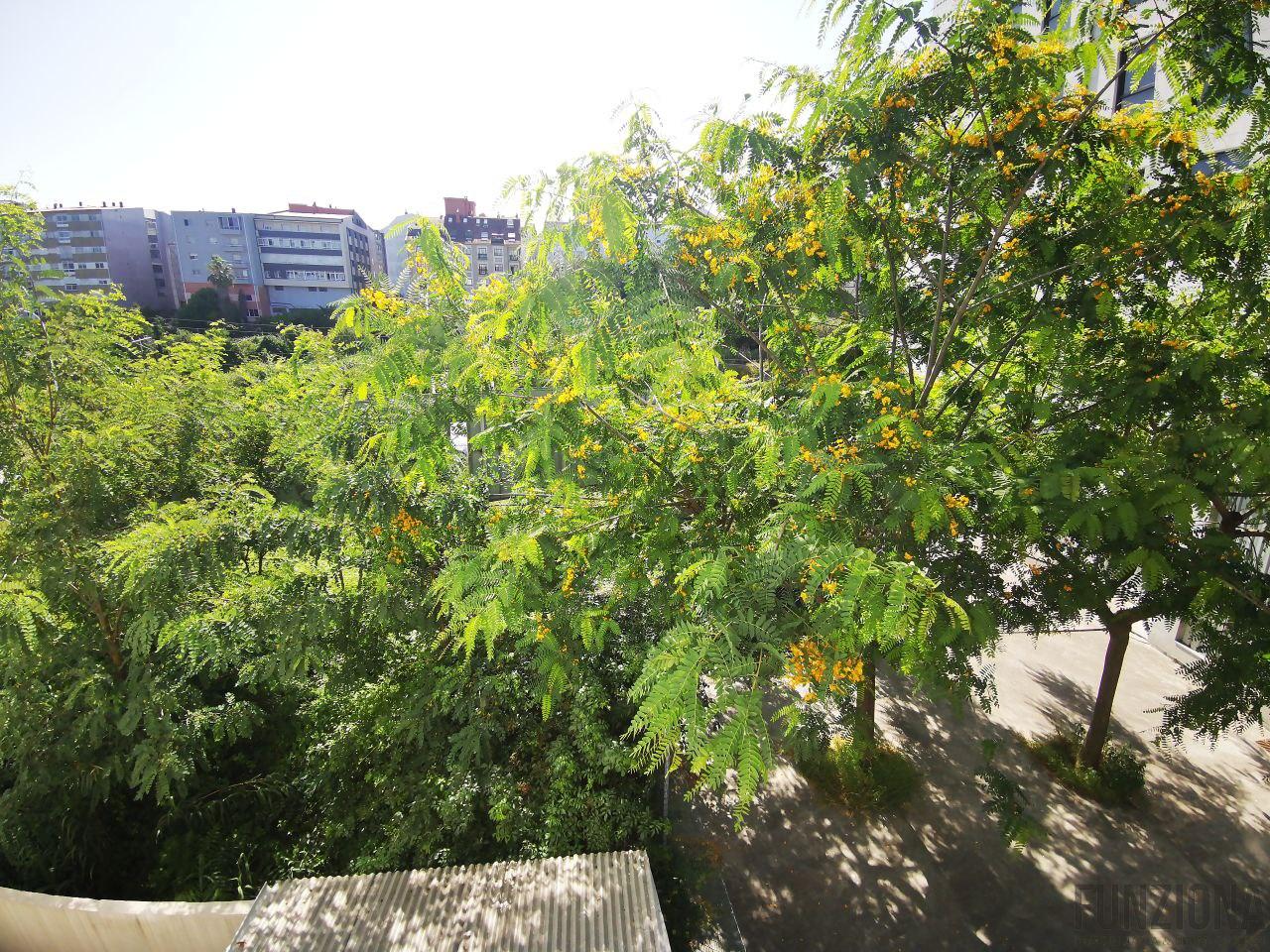 Vistas