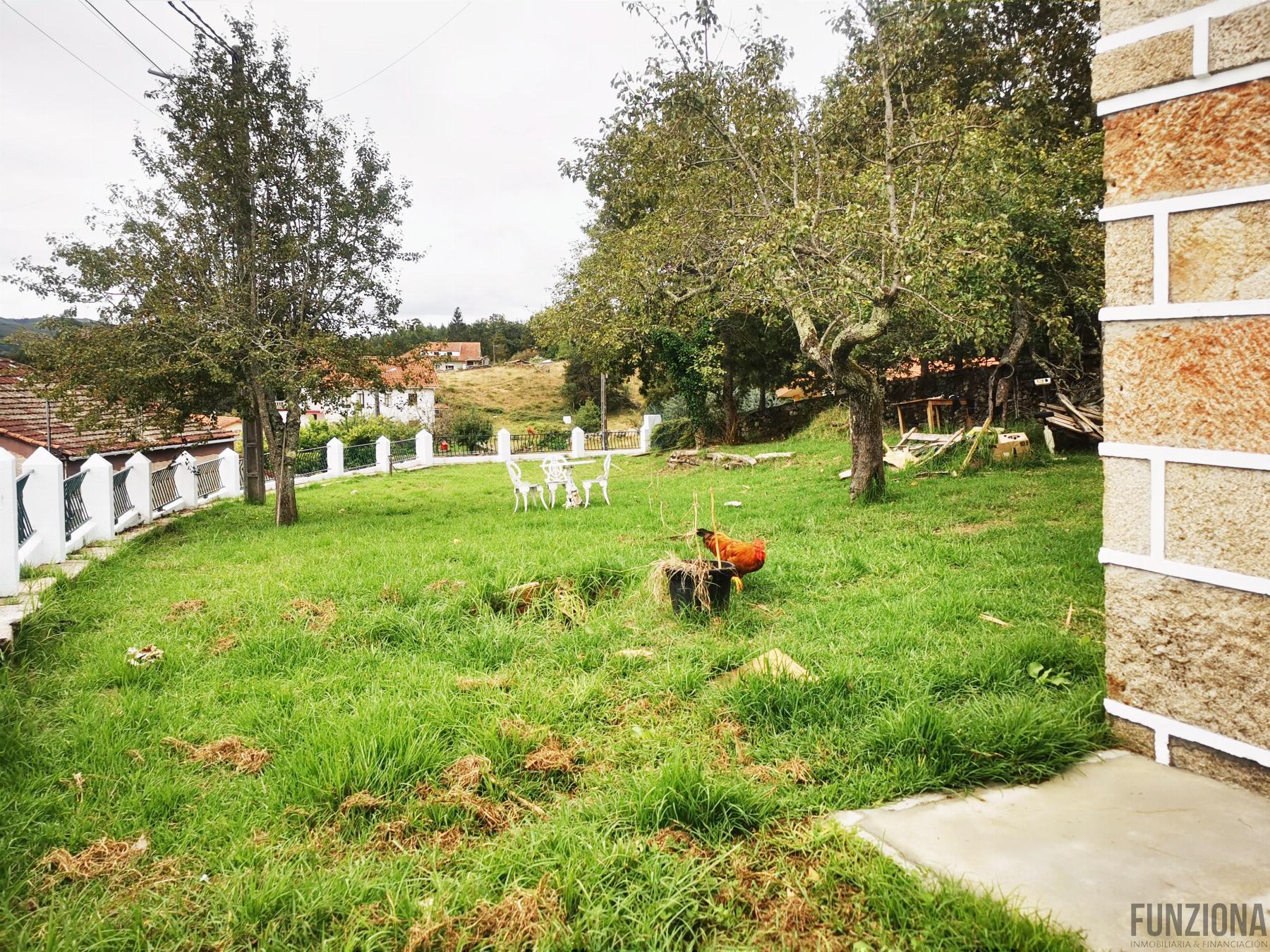 Jardín