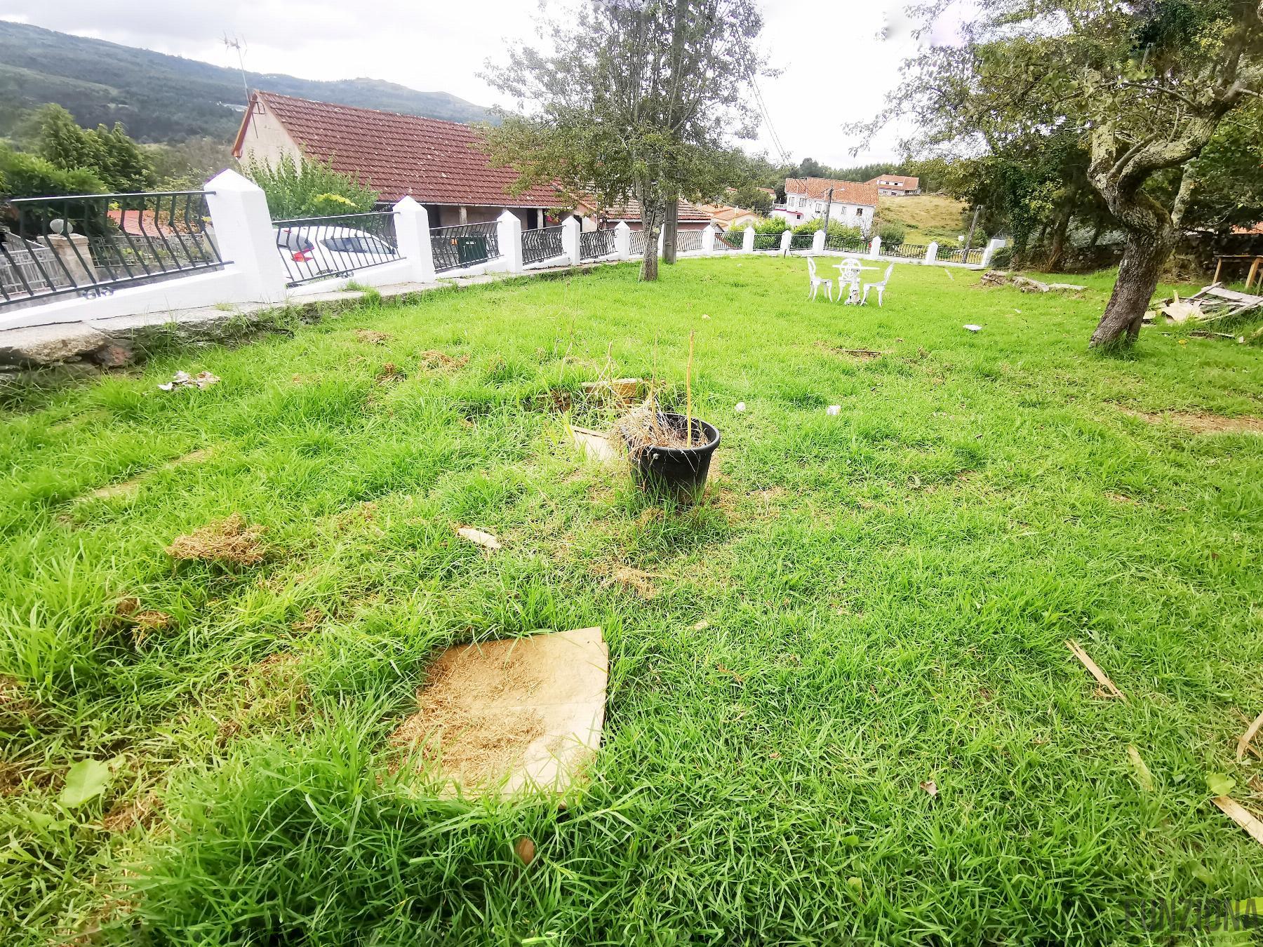 Jardín