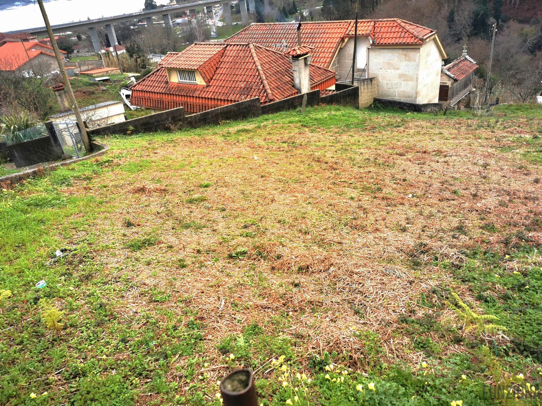 Ground