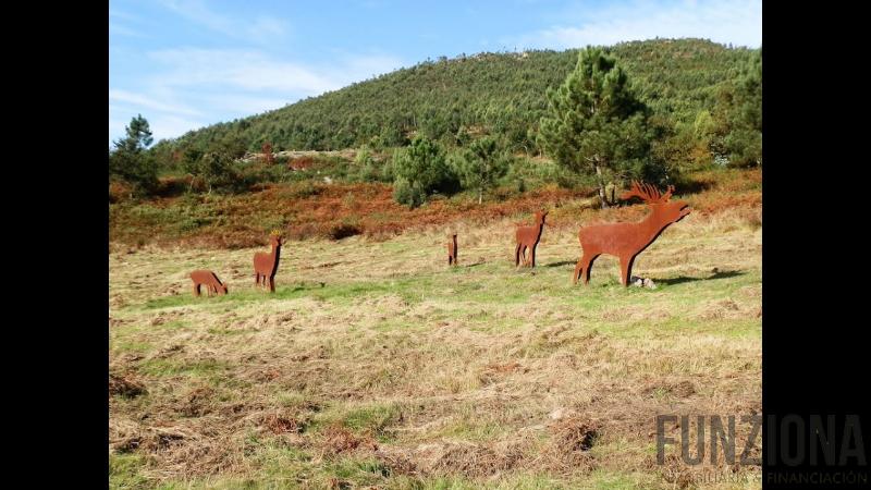 For sale of house in Ponte Caldelas