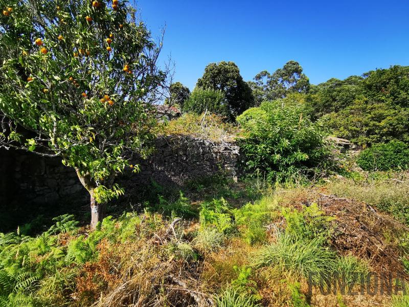 For sale of house in Ponte Caldelas