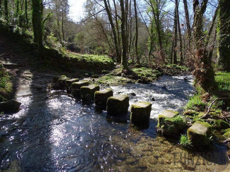 For sale of house in Ponte Caldelas