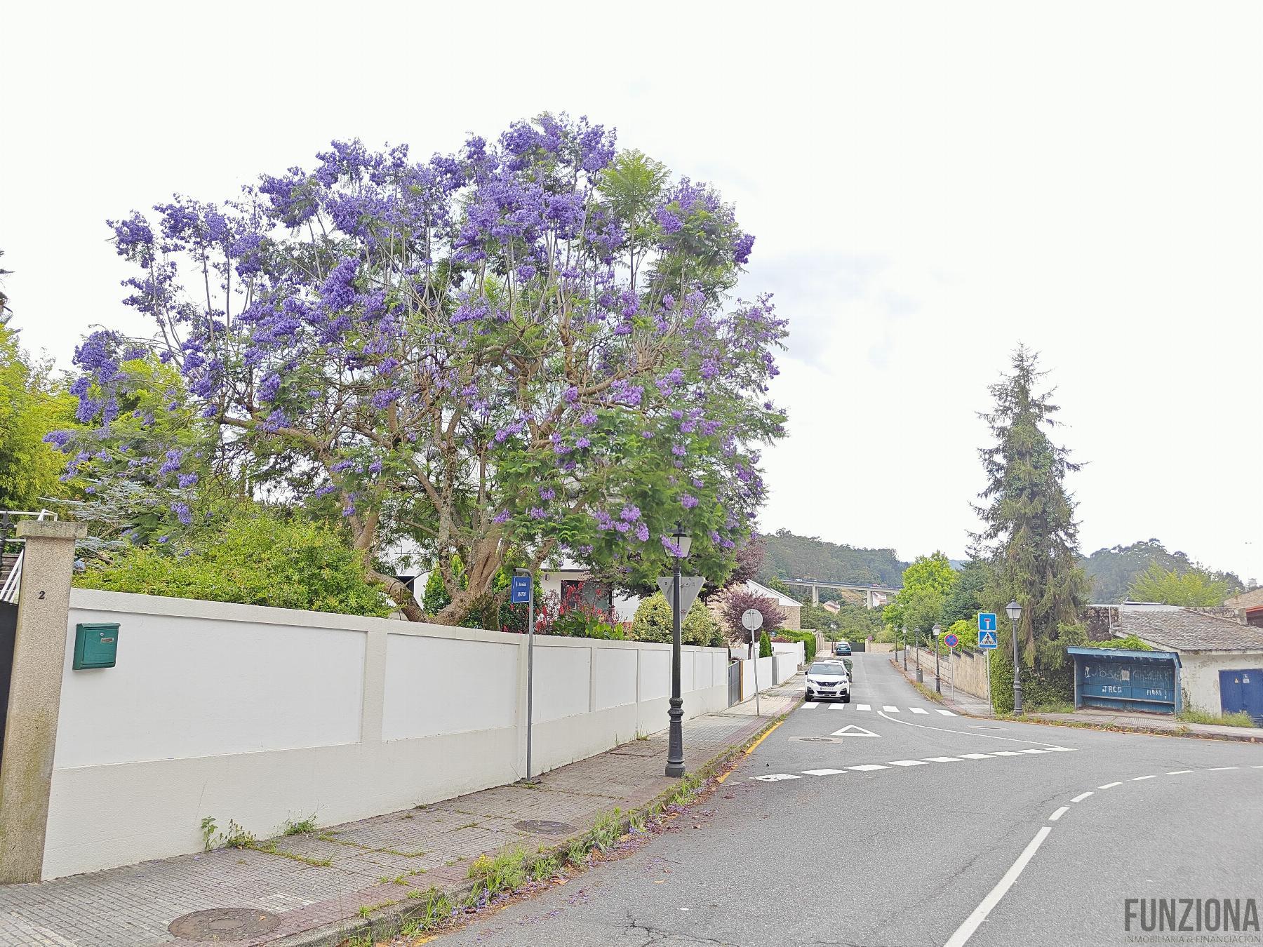 Surroundings