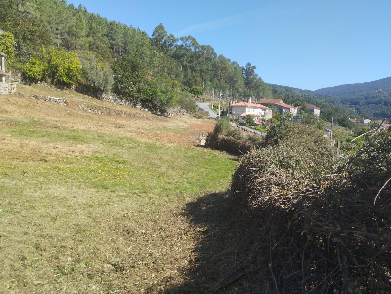 Ground