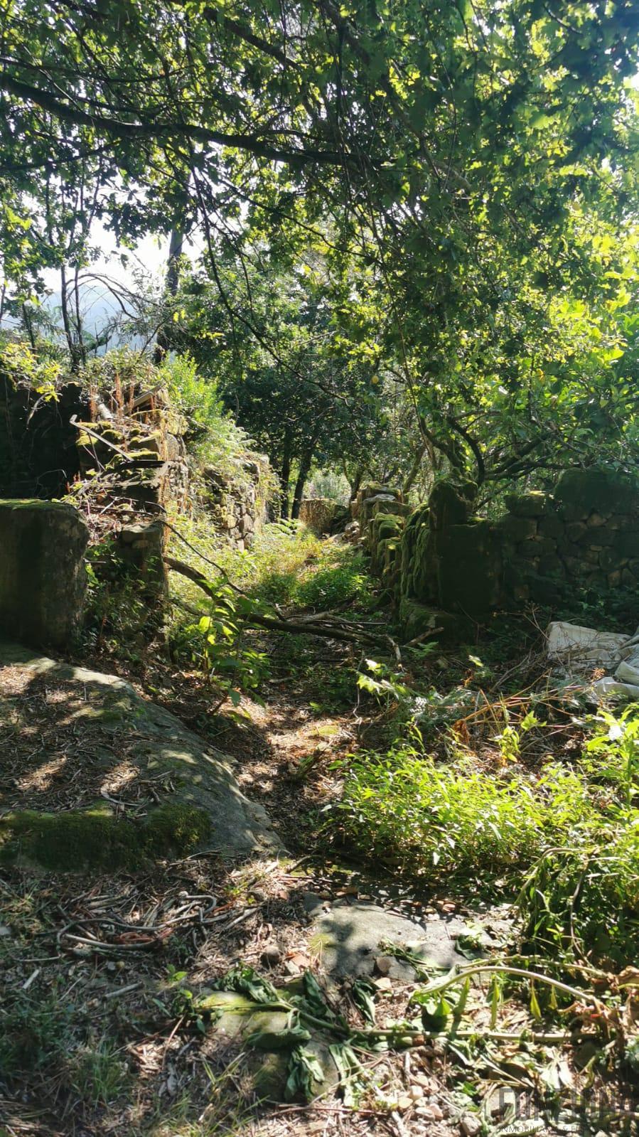 Ground