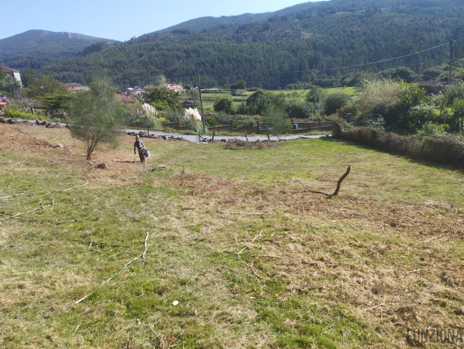 Ground